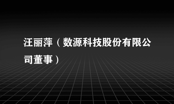 汪丽萍（数源科技股份有限公司董事）