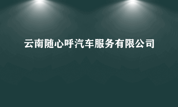 云南随心呼汽车服务有限公司