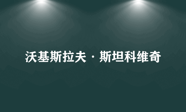 沃基斯拉夫·斯坦科维奇
