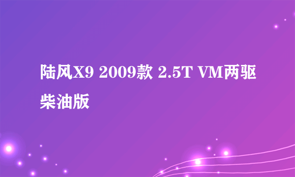 陆风X9 2009款 2.5T VM两驱柴油版
