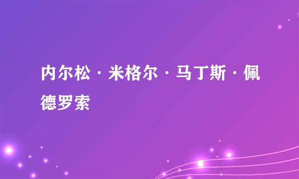 内尔松·米格尔·马丁斯·佩德罗索