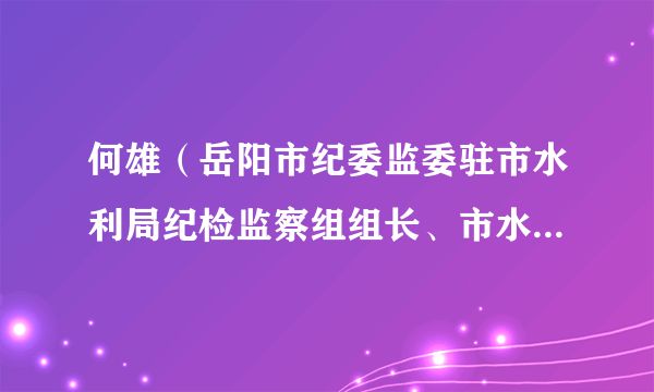 何雄（岳阳市纪委监委驻市水利局纪检监察组组长、市水利局党组成员）