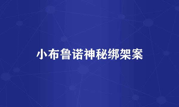 小布鲁诺神秘绑架案