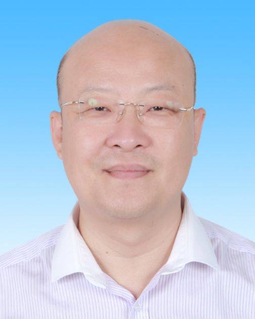董震（北京市大兴区市场监管局党组成员、副局长、三级调研员）