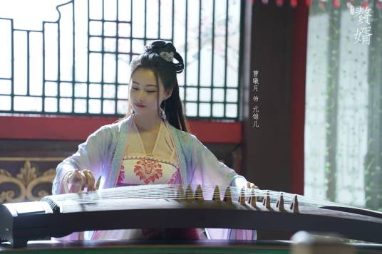 元锦儿（电视剧《赘婿》中的角色）