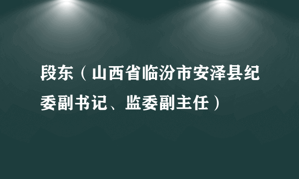 段东（山西省临汾市安泽县纪委副书记、监委副主任）