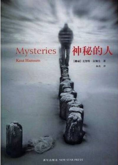 神秘的人（2010年新星出版社出版的图书）