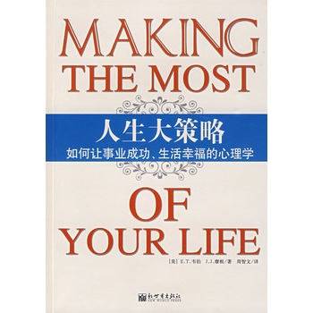 人生大策略：如何让事业成功、生活幸福的心理学