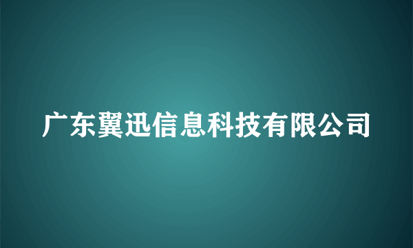 广东翼迅信息科技有限公司
