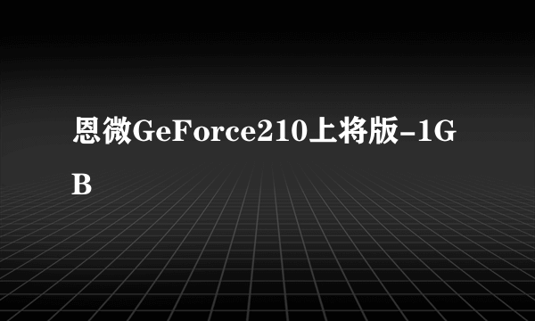 恩微GeForce210上将版-1GB