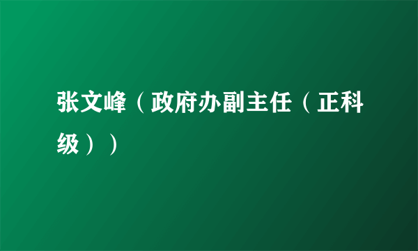 张文峰（政府办副主任（正科级））