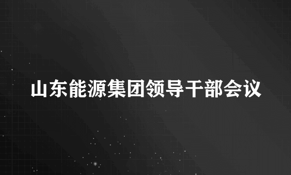 山东能源集团领导干部会议