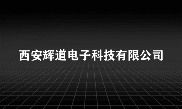 西安辉道电子科技有限公司