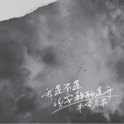 我是不是该安静的走开（半吨兄弟演唱的歌曲）