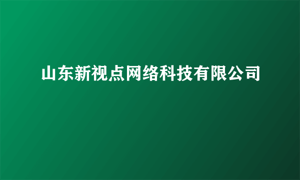 山东新视点网络科技有限公司