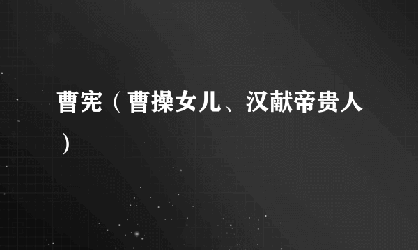 曹宪（曹操女儿、汉献帝贵人）