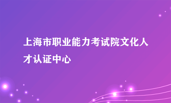 上海市职业能力考试院文化人才认证中心