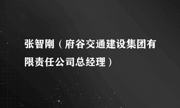 张智刚（府谷交通建设集团有限责任公司总经理）
