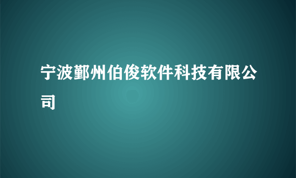 宁波鄞州伯俊软件科技有限公司