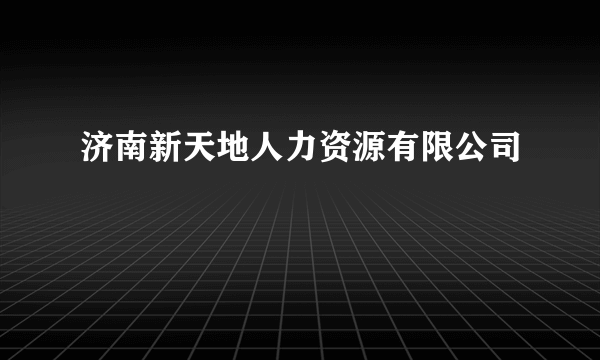 济南新天地人力资源有限公司