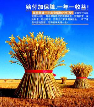 国寿美满一生年金保险