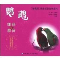 鹦鹉驯养与鉴赏