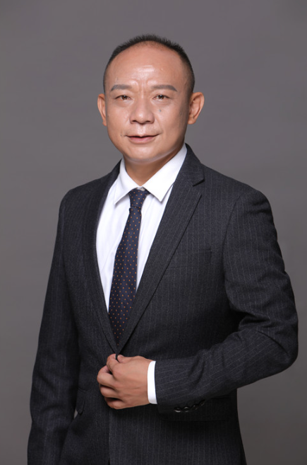 吴志强（武汉大学信息管理学院教授）