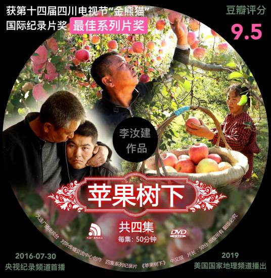 苹果树下（2016年大连广播电视台对外传播交流中心出品的纪录片）