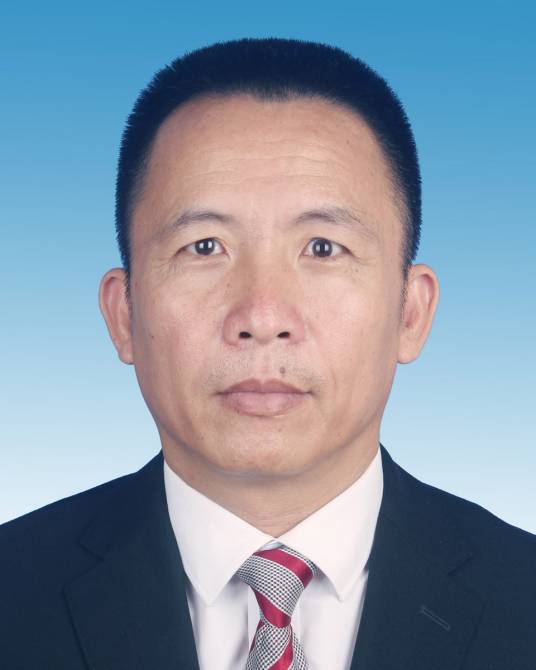 陈卫华（海南省乐东县人民政府原副县长）
