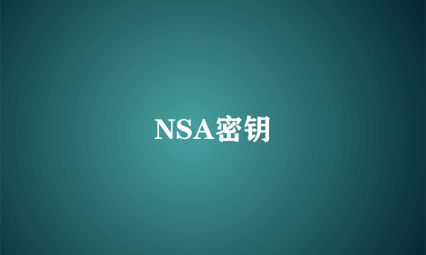 NSA密钥