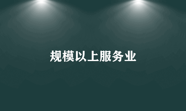 规模以上服务业