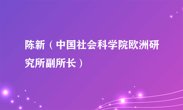 陈新（中国社会科学院欧洲研究所副所长）