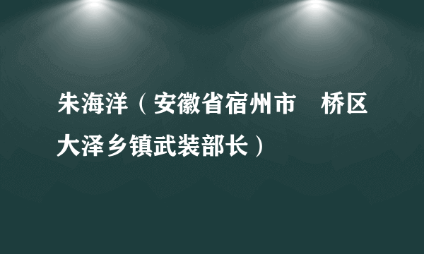 朱海洋（安徽省宿州市埇桥区大泽乡镇武装部长）
