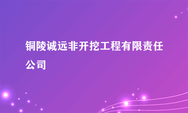 铜陵诚远非开挖工程有限责任公司