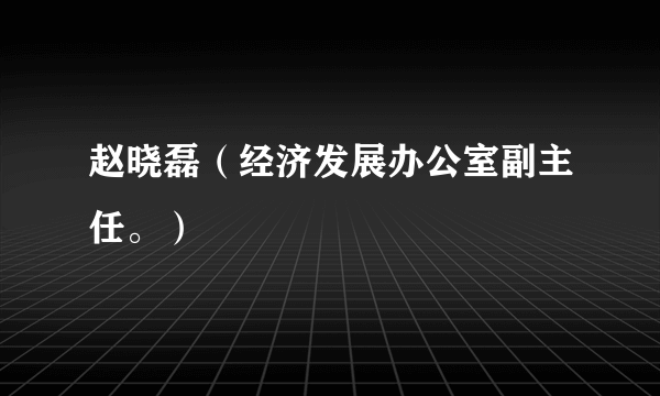 赵晓磊（经济发展办公室副主任。）