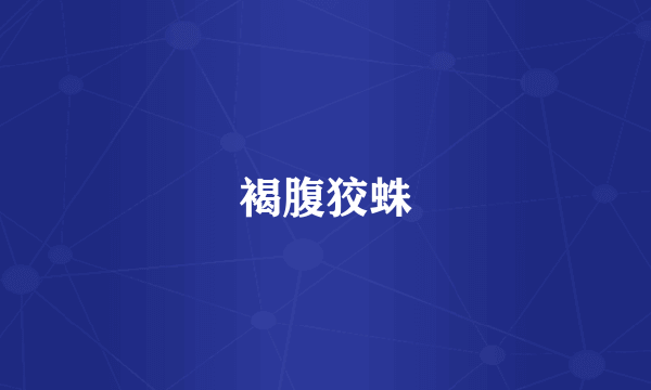 褐腹狡蛛