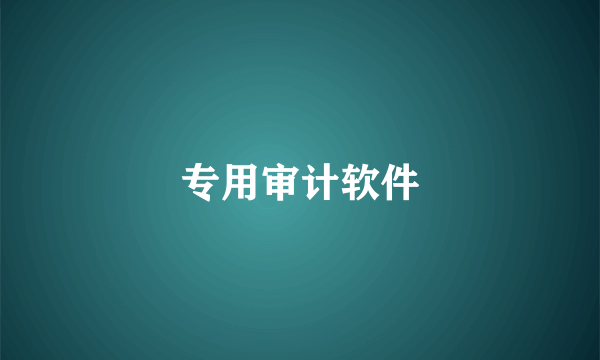 专用审计软件