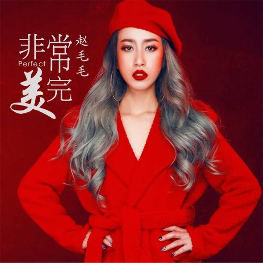 非常完美（赵毛毛演唱的歌曲）