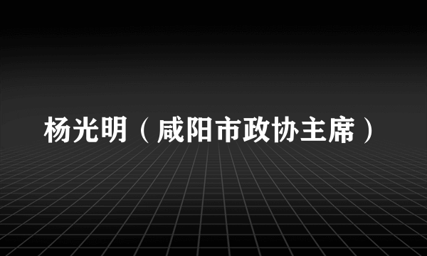 杨光明（咸阳市政协主席）