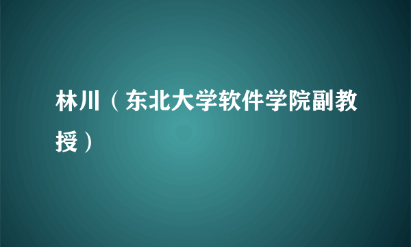 林川（东北大学软件学院副教授）
