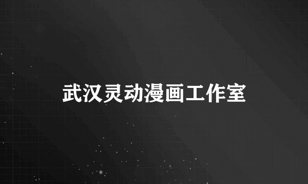 武汉灵动漫画工作室