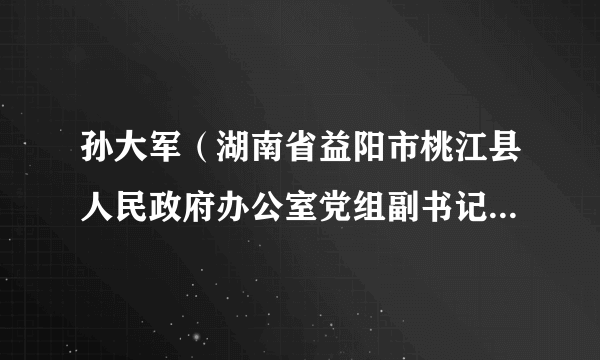 孙大军（湖南省益阳市桃江县人民政府办公室党组副书记、副主任（兼县税控联管办主任））