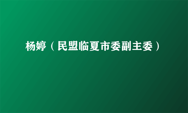 杨婷（民盟临夏市委副主委）