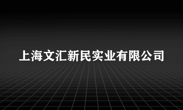 上海文汇新民实业有限公司
