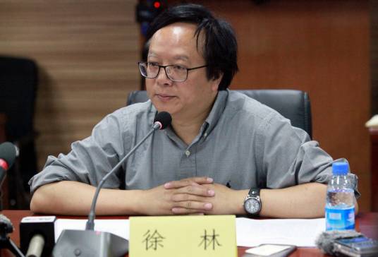 徐林（中美绿色基金管理有限公司董事长）