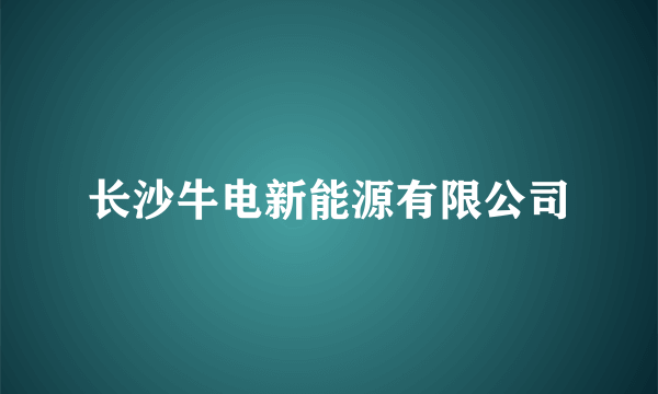 长沙牛电新能源有限公司