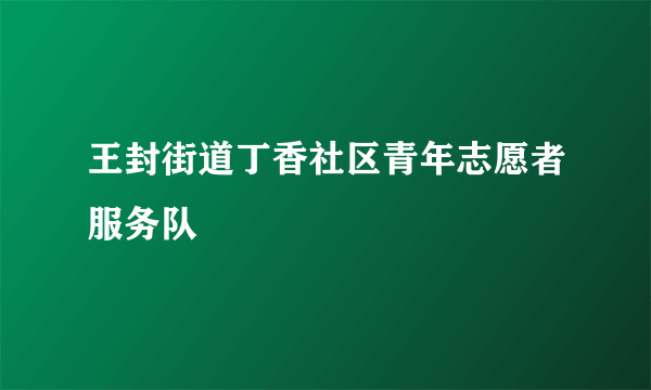 王封街道丁香社区青年志愿者服务队