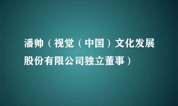潘帅（视觉（中国）文化发展股份有限公司独立董事）