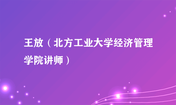 王放（北方工业大学经济管理学院讲师）