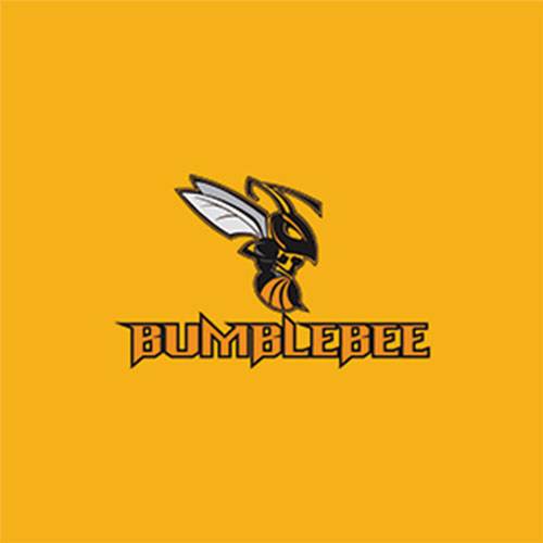 Bumblebee（广州福可吉轴承有限公司商标）